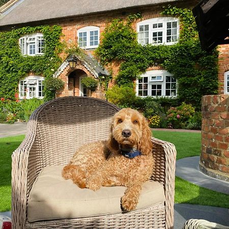 Little Woodside A Beautiful New Forest Self Contained Private Luxury Annexe New Milton Bagian luar foto