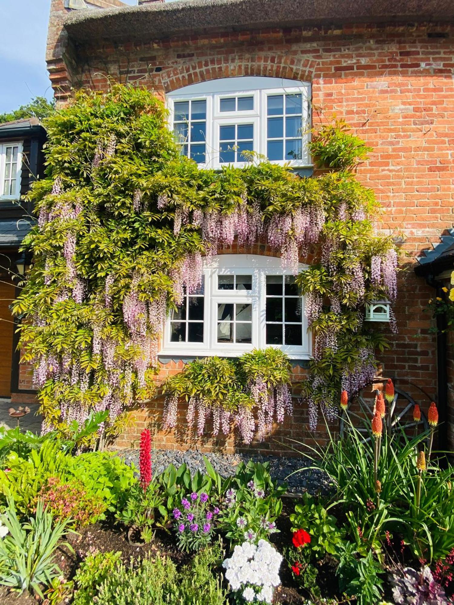 Little Woodside A Beautiful New Forest Self Contained Private Luxury Annexe New Milton Bagian luar foto