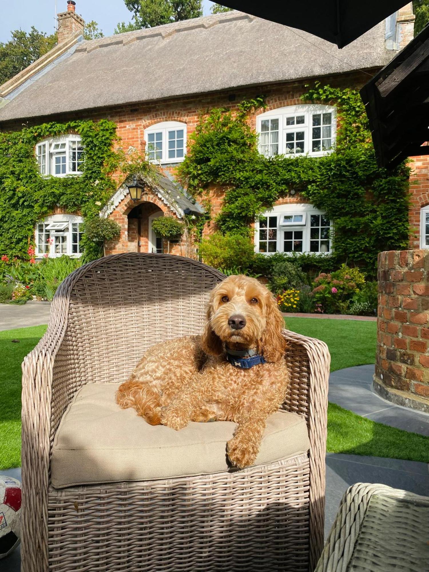 Little Woodside A Beautiful New Forest Self Contained Private Luxury Annexe New Milton Bagian luar foto
