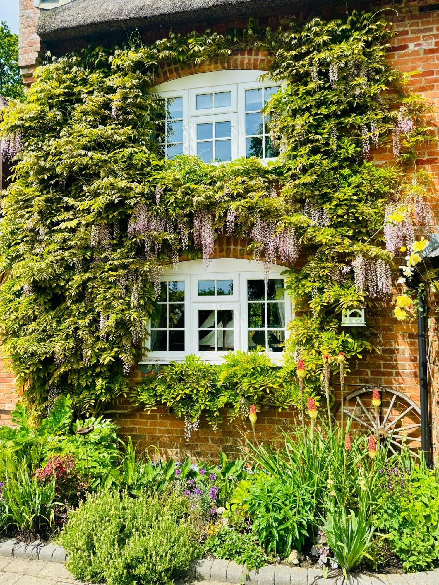 Little Woodside A Beautiful New Forest Self Contained Private Luxury Annexe New Milton Bagian luar foto